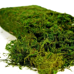 Artificial Moss 16oz -  Moss for Crafts, Fairy Gardens, Wedding & Party Decor, Centerpieces & Potted  ( Green, 455g)