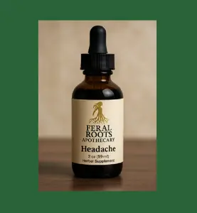 Feral Roots Apothecary Headache Tincture - 2 oz Alcohol-Free Herbal Solution for Migraine Relief & Stress Support - Feverfew, White Willow Bark, Chamomile, Rosemary, Ginger