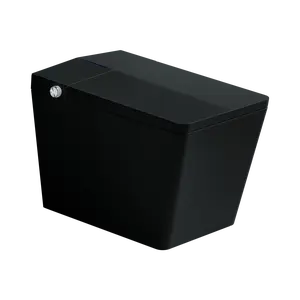 Matte Black Square Modern Smart Toilet for Home, Built-in Tank, Remote Control, Tankless Bidet, Auto Flush, Heated Seat, LED Display, Night Light, Antibacterial, 100.00 lbs, 16.30 in, 26.00 x 16.30 x 18.25 in