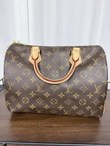 Pre-owned Louis Vuitton Hand bag