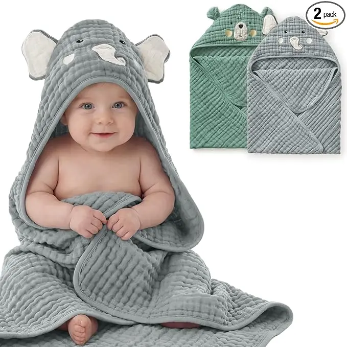 Smart Bear & Wise Elephant