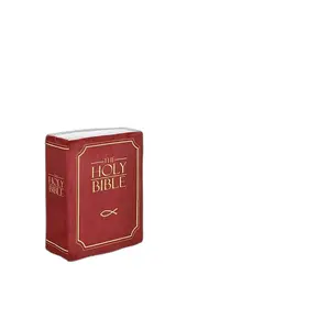 Bible Pillow - Christian Plush Throw Pillow | Faith Home Decor