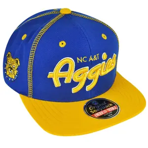 NCAA AACA American Needle North Carolina A&T Aggies Snapback Traxside Hat Cap