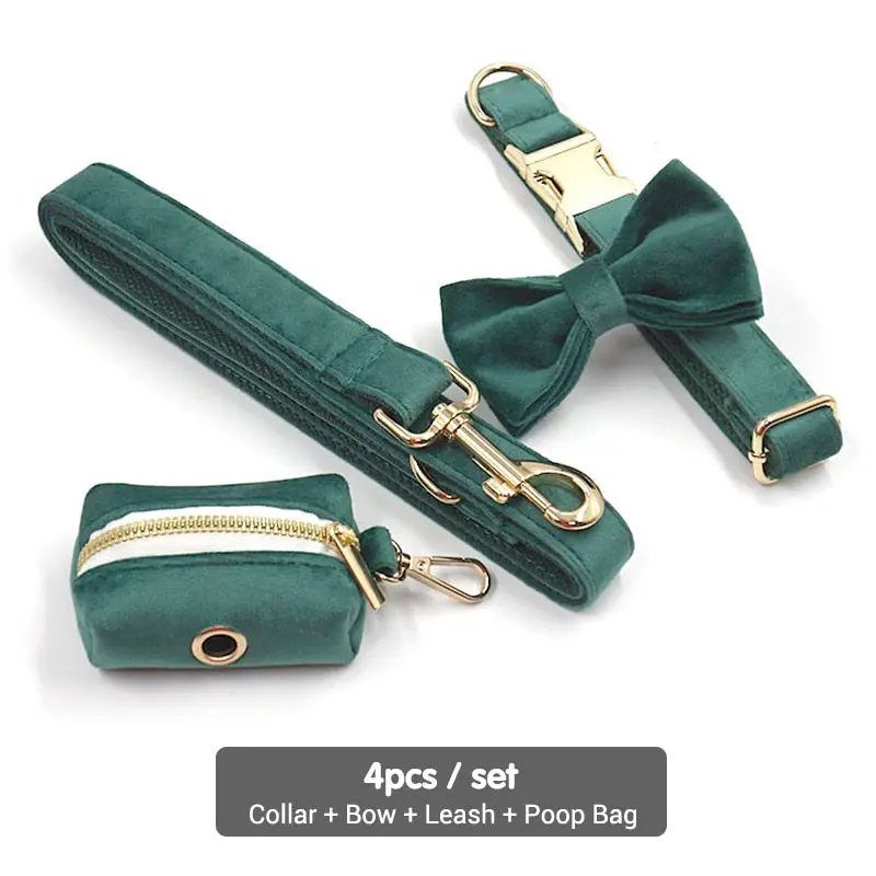 Collar 4pcs Set
