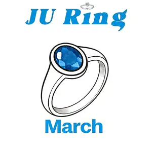 #63 D3  (March) 925 Sterling Silver Natural Gemstone Adjustable Ring Gifts for Women Sky Blue Topaz Mar.