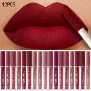 12 Color Matte Lip Glossy Set Water Resistant Transfer Proof Lipstick  Long Lasting Highly Pigmented Lip Tint Makeup Cosmetic For Beginner