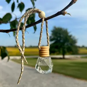 Glass Car Diffusers | Wooden Tops