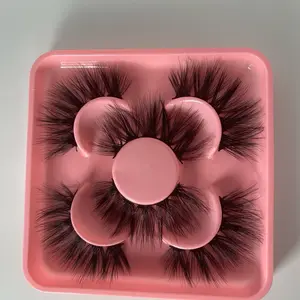 STALLION (LASH BOOK)