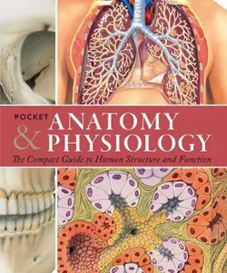 USED-Pocket Anatomy & Physiology: The Compact Guide to the Human Body and How It Works by Ashwell, Ken (Paperback)