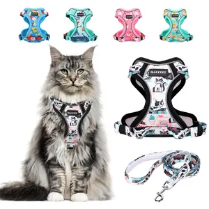 Halypet Cute Pet Harness for Cats with Cat Leash, Reflective Pet Leash, Adjustable Pet Collar and Leash, Hands Free Dog Leash Harness Training
