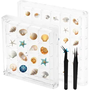2 Pack   Seashell Display Box 36 Grids and 16 Grids Portable Clear Seashell Collection Box  Beach Small Display Box for   Beads Storage Case