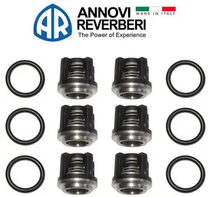AR1828 Check Valve Kit ORIGINAL Annovi Reverberi Fits RRV, RKV, XRCV Models 18mm