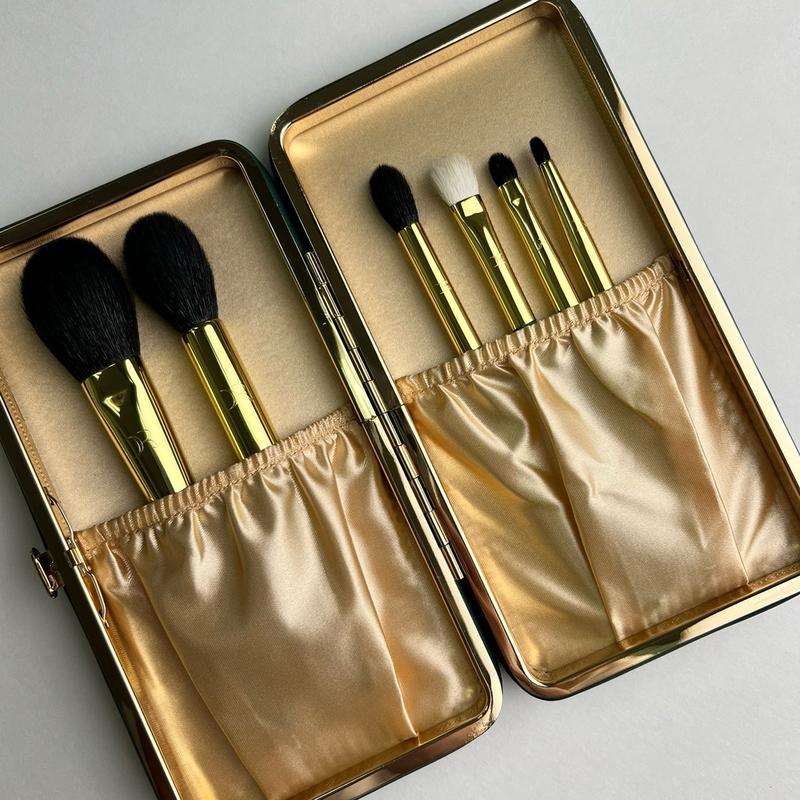 Travel Kit 6 Makeup Brushes in Faux-Leather Clutch for Safe and Clean Storage and Portability