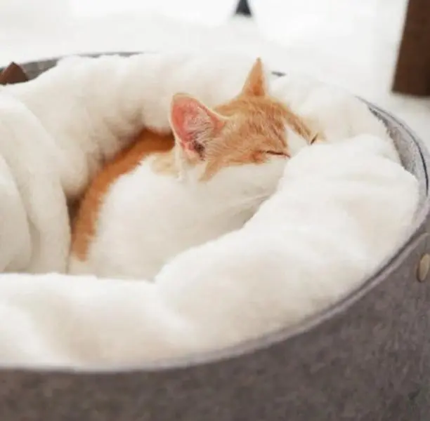 Plush Enclosed Hideaway Nest Bed