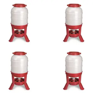 Little Giant 60 Pound Feed Heavy Duty Poultry Chicken Gravity Feeder (4 Pack)