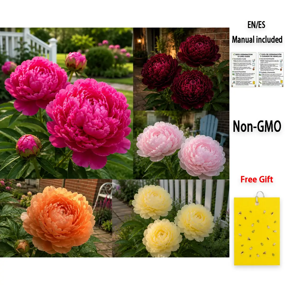 200 Pcs Premium Peony Flower Seeds | Majestic Lush Blooms | Non-GMO Heirloom - for Backyard Gardens, Floral Borders & Patio Planting, Patient Gardeners, Elegant Perennial Floral