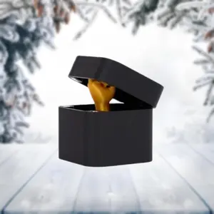 Adult Prank Gift Box, Funny Joke Present, Christmas Exchange Gift, Plastic Finger Inside, Perfect for Friends, Humorous Surprise