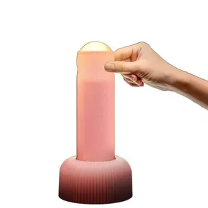 Rechargeable night light from Douyin Store, creative bedside lamp, suitable for bedroom sleep ambiance, fun table lamp, birthday gift