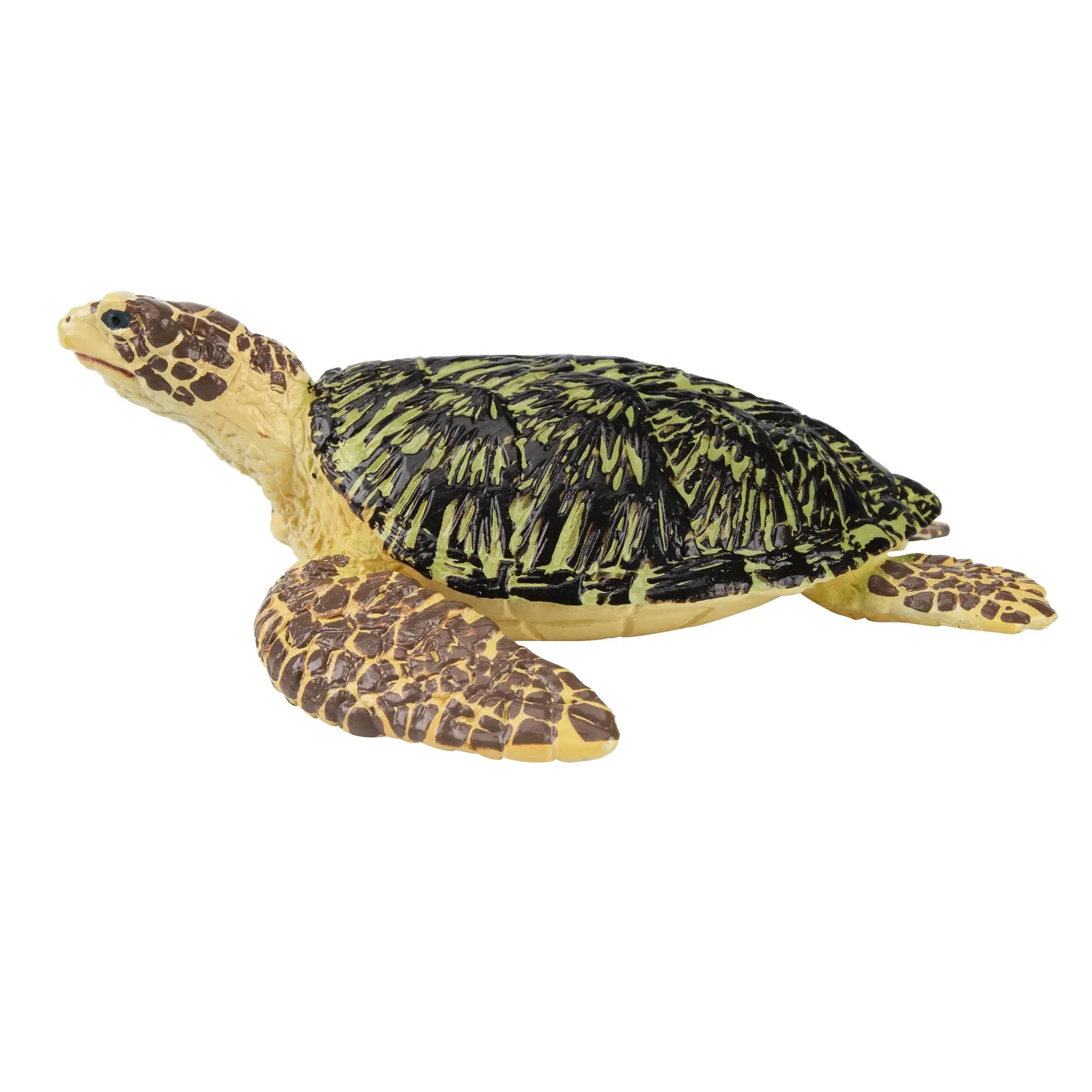 Toymany Hand-Painted Green Sea Turtle Figurine – Realistic Marine Animal Model, Perfect for Early Education, Montessori Sensory Play, Cake & Party Decorations, Desk & Home Décor, Thoughtful Gifts, and Collectible Figurine