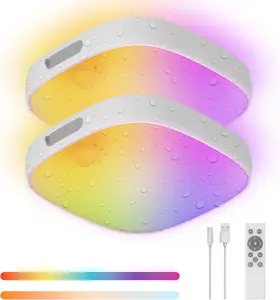 Shower Lights IP65 Waterproof Motion Sensor Ceiling Light Rechargeable 10000mAh Battery LED RGB Colors Remote Control 2 Pack for Bathroom & Closet