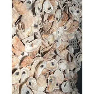 Oyster Shells for Landscaping – Sold by the Pound