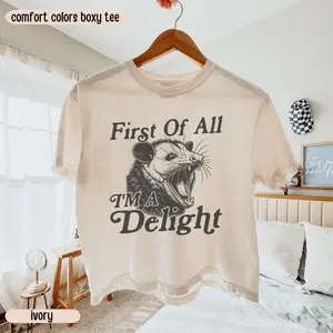 Funny Opossum Comfort Colors Boxy Crop Top