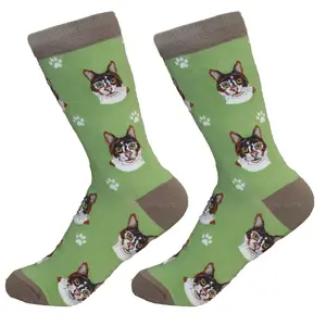 Calico Cat - Socks