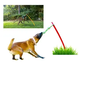 Outdoor Dog Tug Pole with a Rope for Engaging Playtime Activities in the Yard