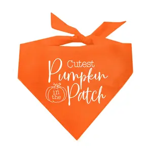 Cutest Pumpkin  Triangle Dog Bandana