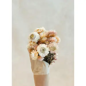 Neutral dried Flowers