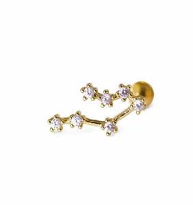 Flat Back Titanium Celestial Zodiac Cartilage Earring Studs, Constellation Stud, Horoscope Earrings/Conch Studs/Helix Studs, Birthday Gift