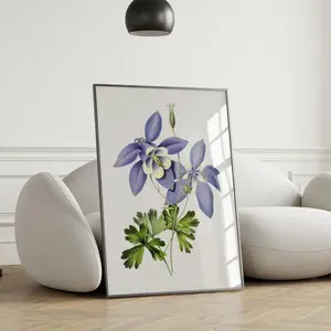 Blue Columbine Print – Botanical Flower Wall Art for Kitchen, Living Room, or Farmhouse Decor, Unframe