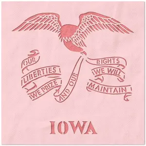 Iowa State Flag Stencil