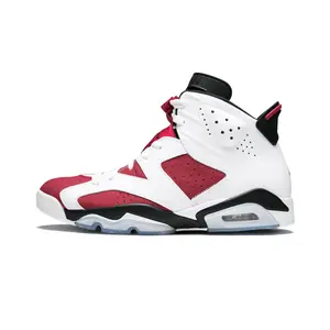 Air Jordan 6 Retro "Carmine" 384664 160