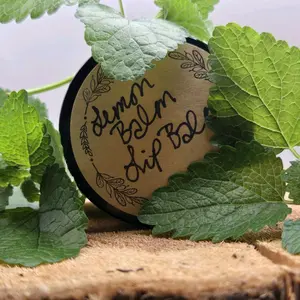 Natural Lemon Balm Lip Balm for Dry Lips & Cold Sore Relief | Moisturizing Gentle Daily Herbal Lip Treatment with Shea Butter