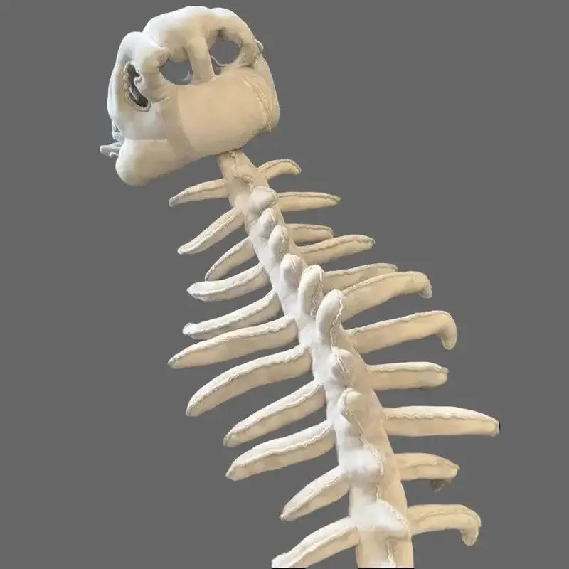 Dinosaur Skeleton Head Stuffed Animal - Cartoon Design, Comfy Huggable Cute Collectible, Unisex Clothes Compatible Pretend Play Creepy Cute Toy for Kids, Stuffedanimals Soft Huggable Stuffedtoy Cute Stuffed Animals