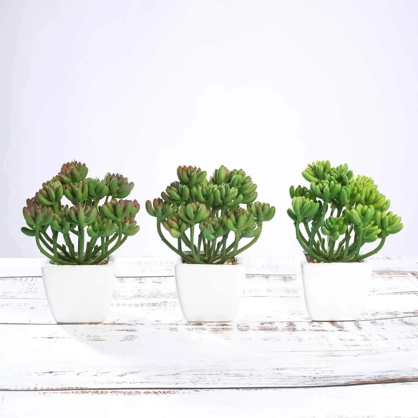 7" 3-Pack Lifelike Fake Stonecrop Artificial Succulents in Ceramic Pots - Indoor Plastic Floral Plant for Home Office Home Decoration