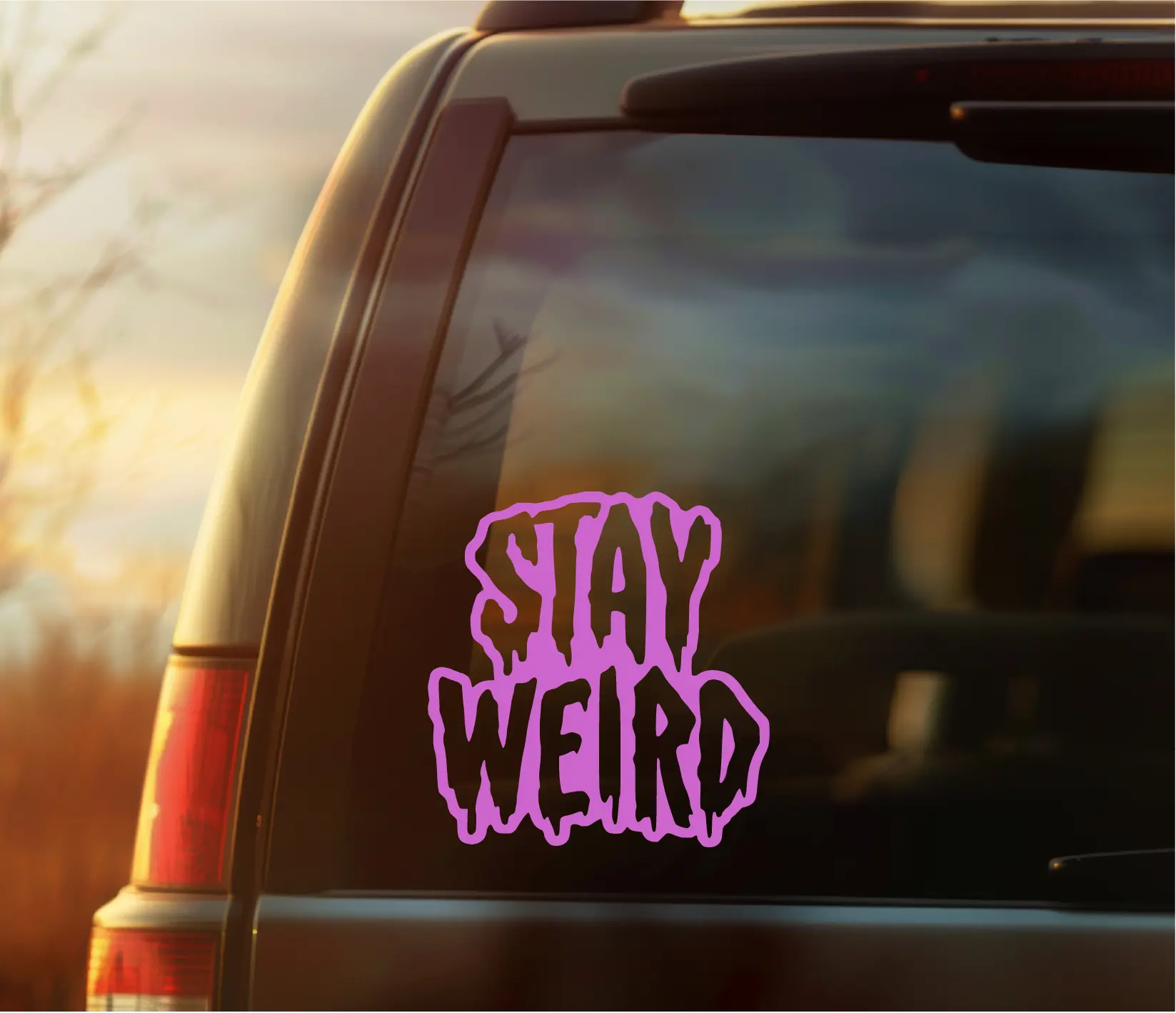Stay Weird Vinyl Car Decal, Gothic Alternative Sticker for Alt Girls and Guys, Emo and Spooky Girls, Halloween Lovers, Creepy Cute Aesthetic Car Accessory, Durable Weatherproof Vinyl for Cars, Laptops, Water Bottles, Perfect Dark Alt Gift Idea