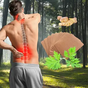 50 Ginger Self-Heating Patches, provide lasting comfort for the back, neck, shoulders, knees, and joints, 8-hour herbal warming pads, safe and natural care for middle-aged and elderly, essential for a healthy life, portable heating pads