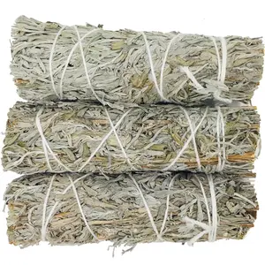 Blue Money Sage