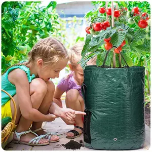 5 7 10 GAL PE plastic gallon Potato tomato Plant Grow planter Bag nursery flower Pots bag for jardin Vegetable Gardening Tools