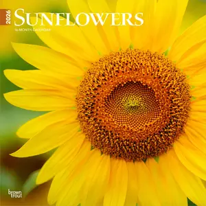 Sunflowers | 2026 12 x 24 Inch (Hanging) Monthly Square Wall Calendar | Plastic-Free | BrownTrout | Flower Floral Plant Outdoor Nature