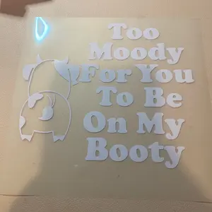 Too moody for you to be on my booty car decal