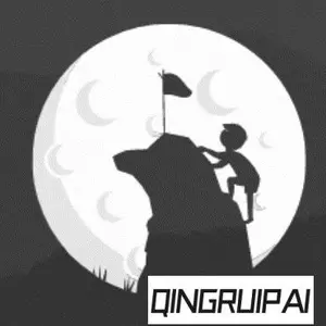 Qingruipai1 shop logo