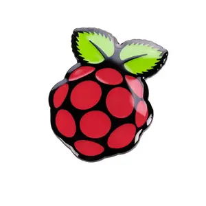 Raspberry Pi Pin Badge