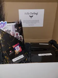 See You Next Tuesday Book of the Month Box for November with Seraphim by Leslie Swartz - Exclusive Signed Copy, Surprises, and More