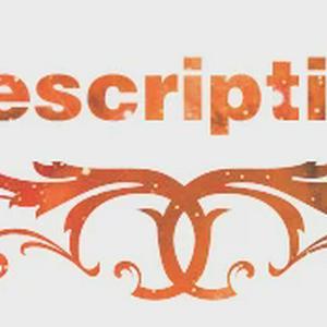 Dandkey 2 3 Button Flip Car Key Case Shell Housing For For Volkswagen for Vw Jetta Golf Polo Passat Beetle for Skoda for Seat B5