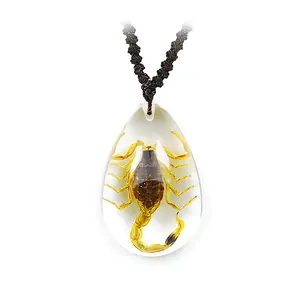 Real Bark Scorpion Necklace Teardrop Shaped Clear Real Nature Gift