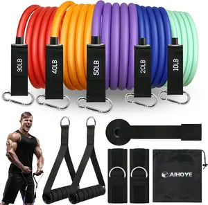 Resistance Bands for Working Out, Exercise Bands with Handles, Stretch Bands for Exercise, Workout Bands with Door Anchors for Physical Therapy & Strength Training
