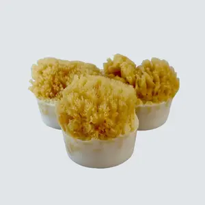 Natural Sea Sponge Soap Ocean Shores 5 oz Exfoliating & Cleansing Bar with Shea Butter for Gentle Daily Use & Skin Repair